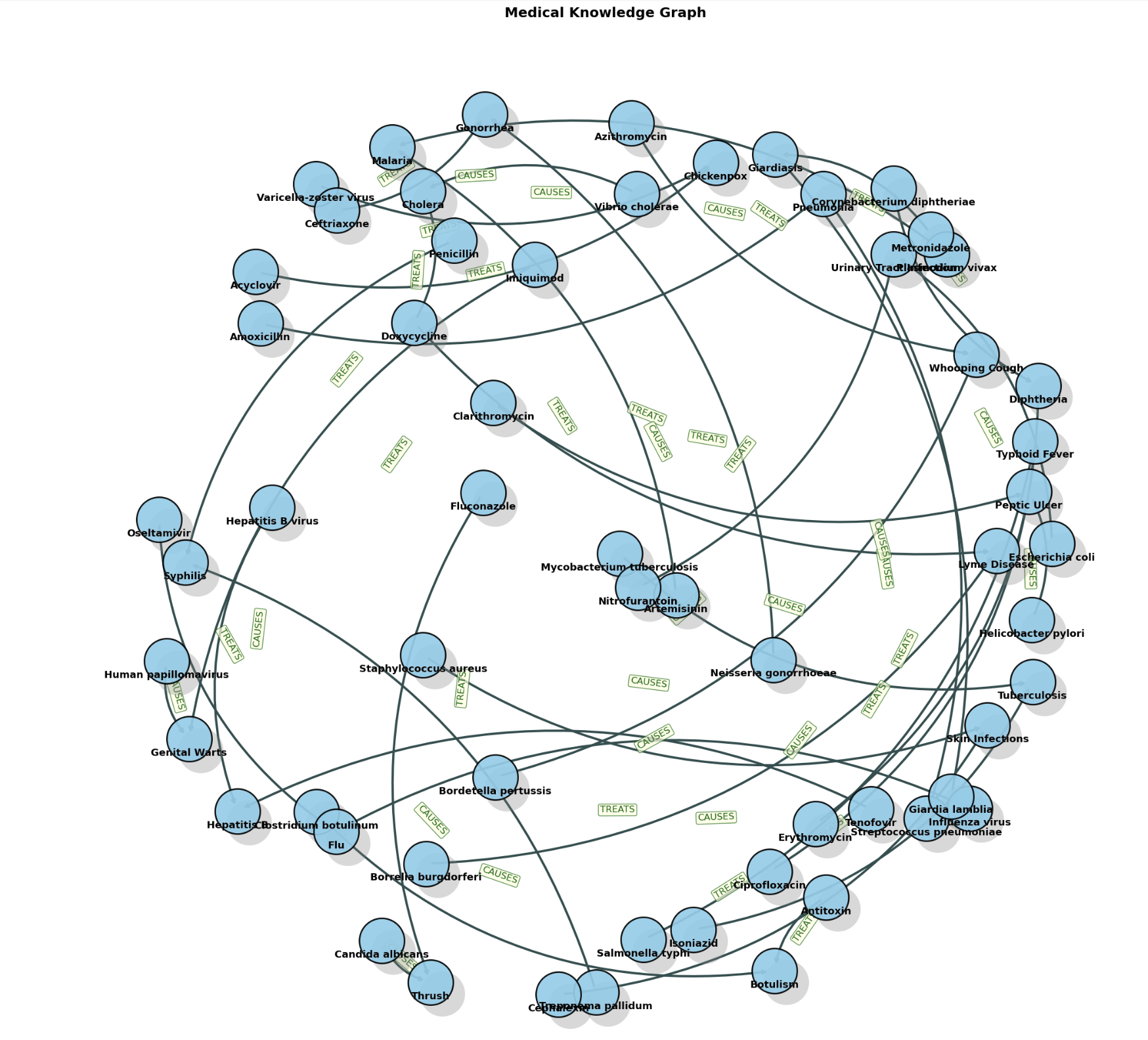 Medical Knowledge Graph